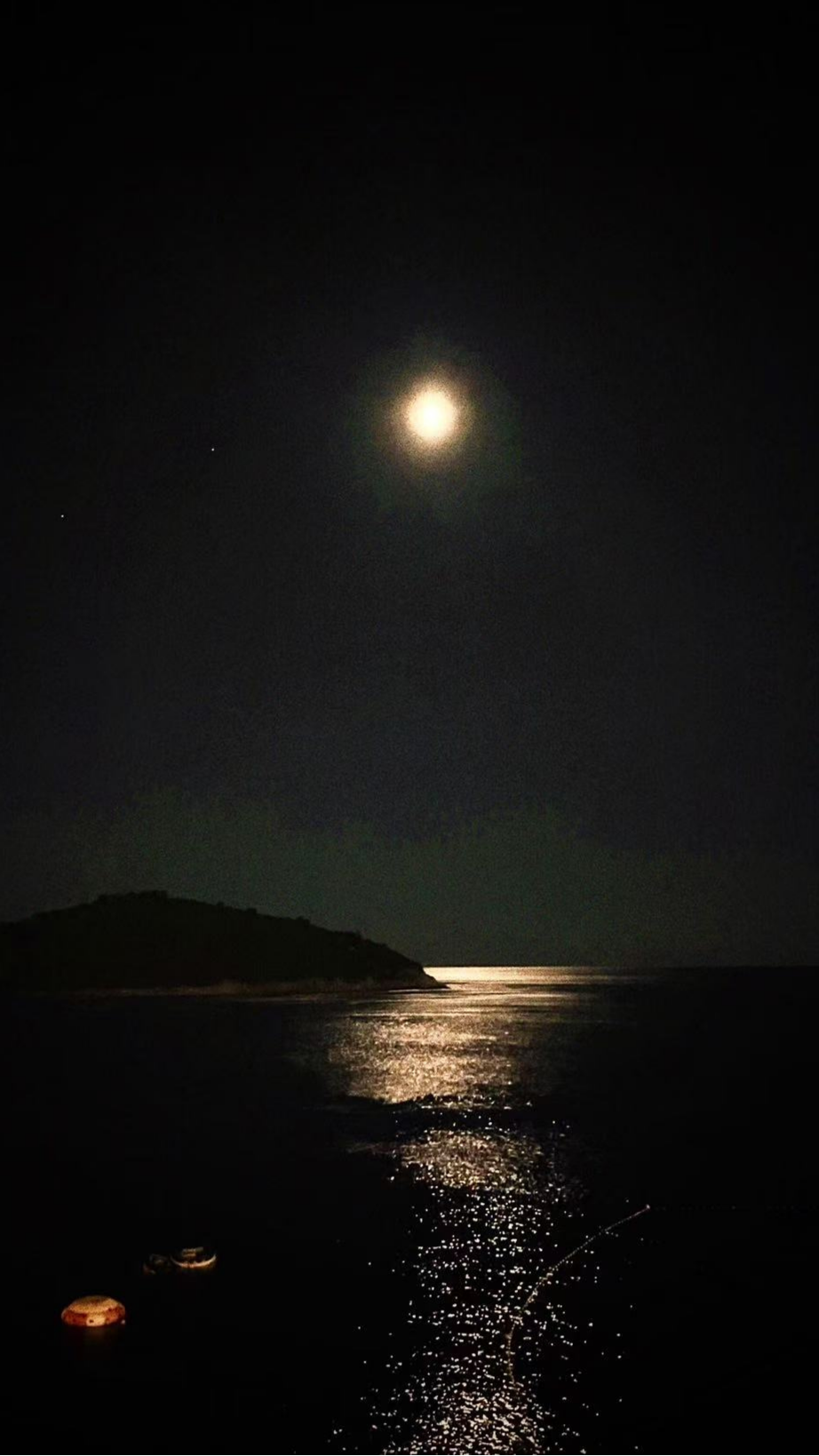 Signature Collection - The Moon Necklace  Baroque Sea Water Pearl